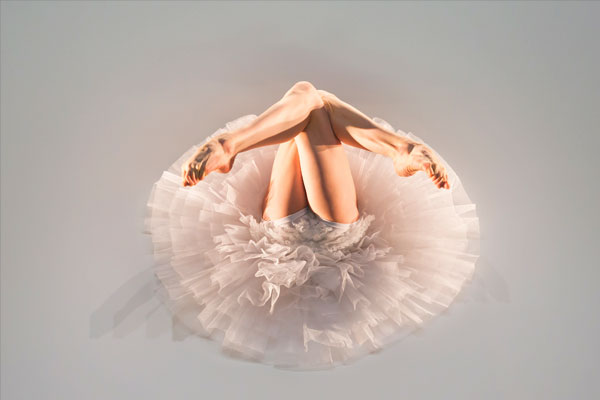 Dying Swans Project